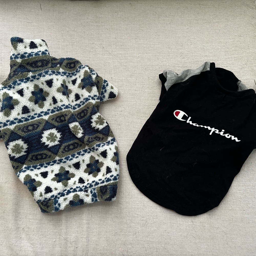 Dog Sweater and Champion Tshirt Bundle